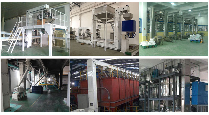 z型斗式提升机食品厂配合包装机输送，输送小麦，碎矿石输送等现场案例展示。